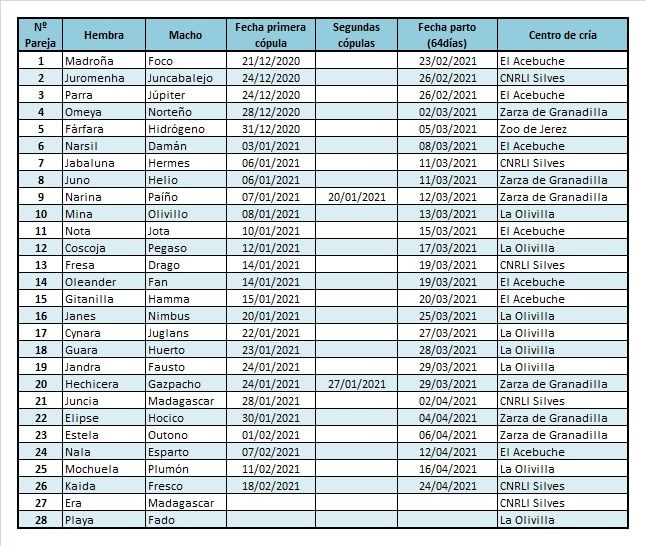 parejas 2021 tabla web